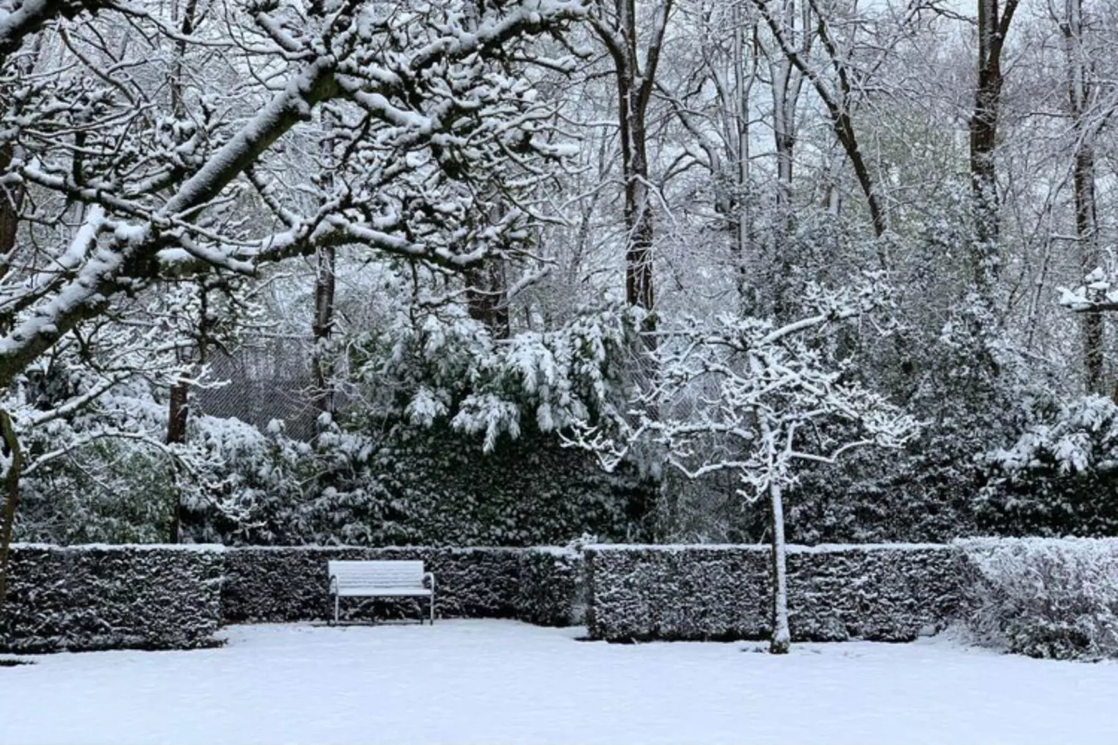 Villa Loonse Duinen-Tuin winter
