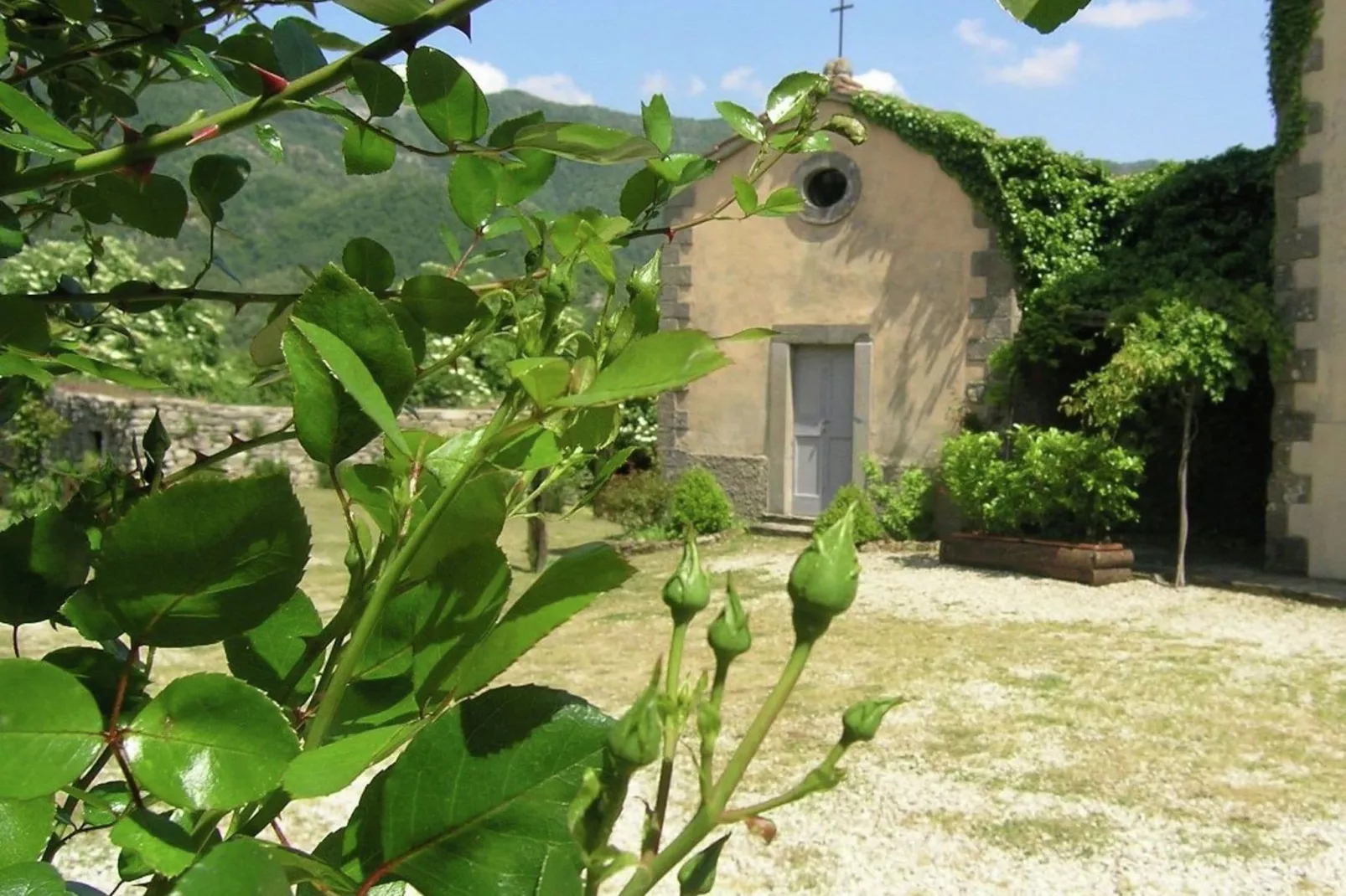 Palazzo-Gebieden zomer 1km