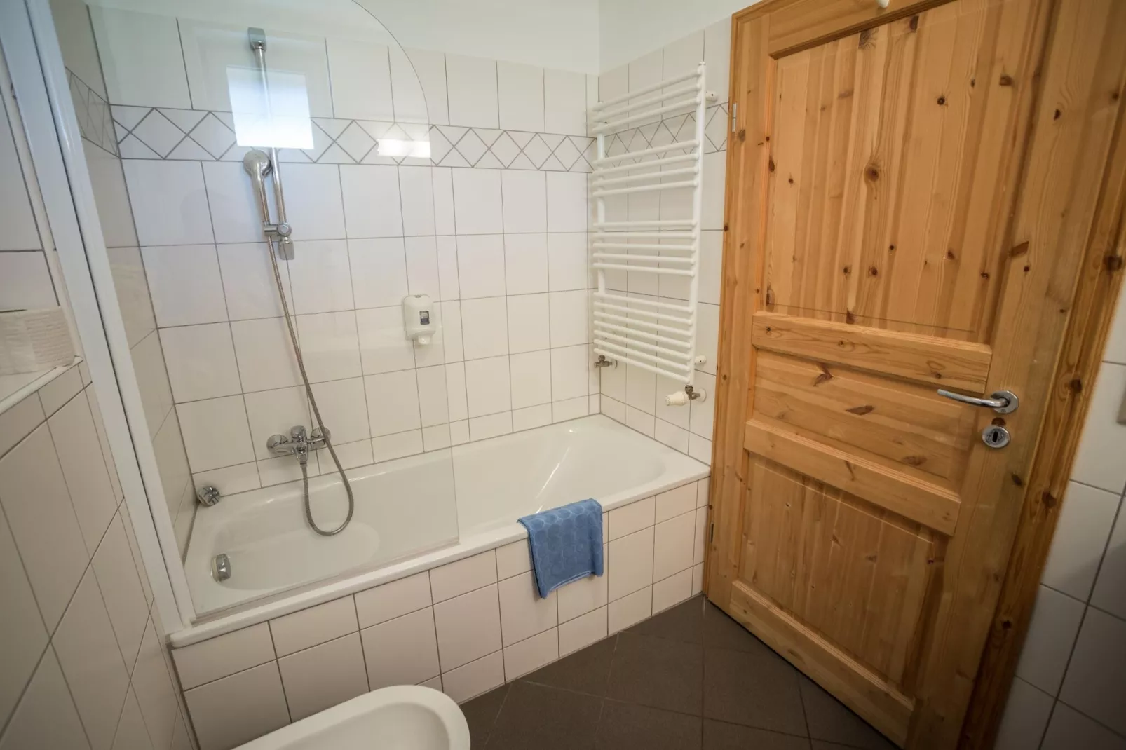 Ferienpark Kreischberg 14-Badkamer