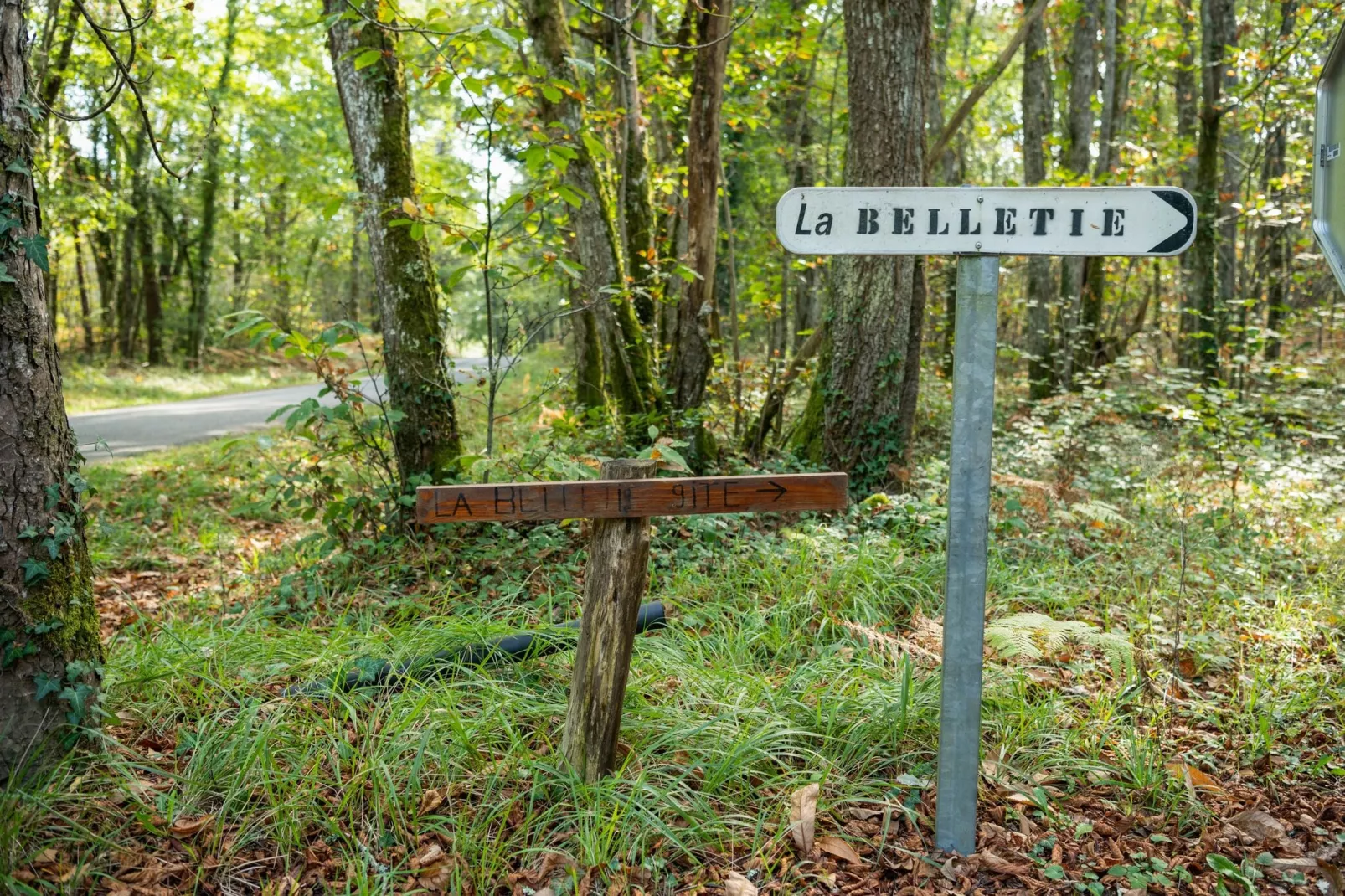 Cendrieux-Gebieden zomer 1km