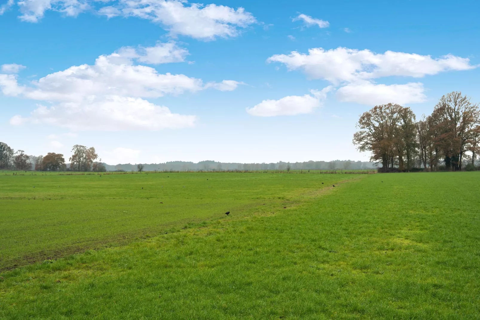 Vakantiewoning Hoevendeel-Gebieden zomer 1km