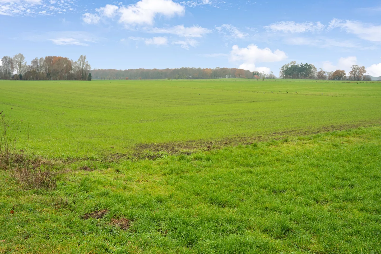 Vakantiewoning Hoevendeel-Gebieden zomer 1km