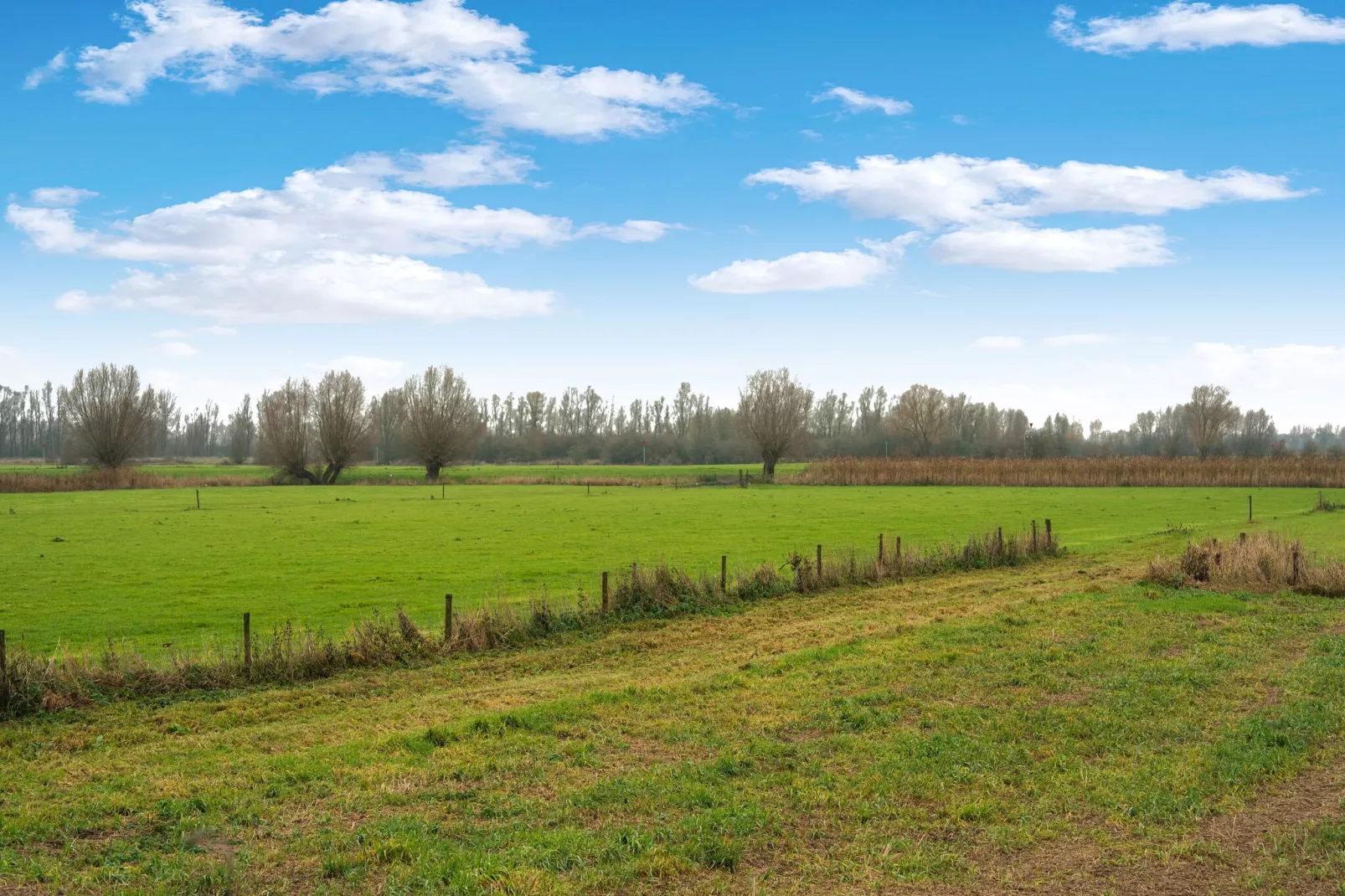 Vakantiewoning Hoevendeel-Gebieden zomer 5km