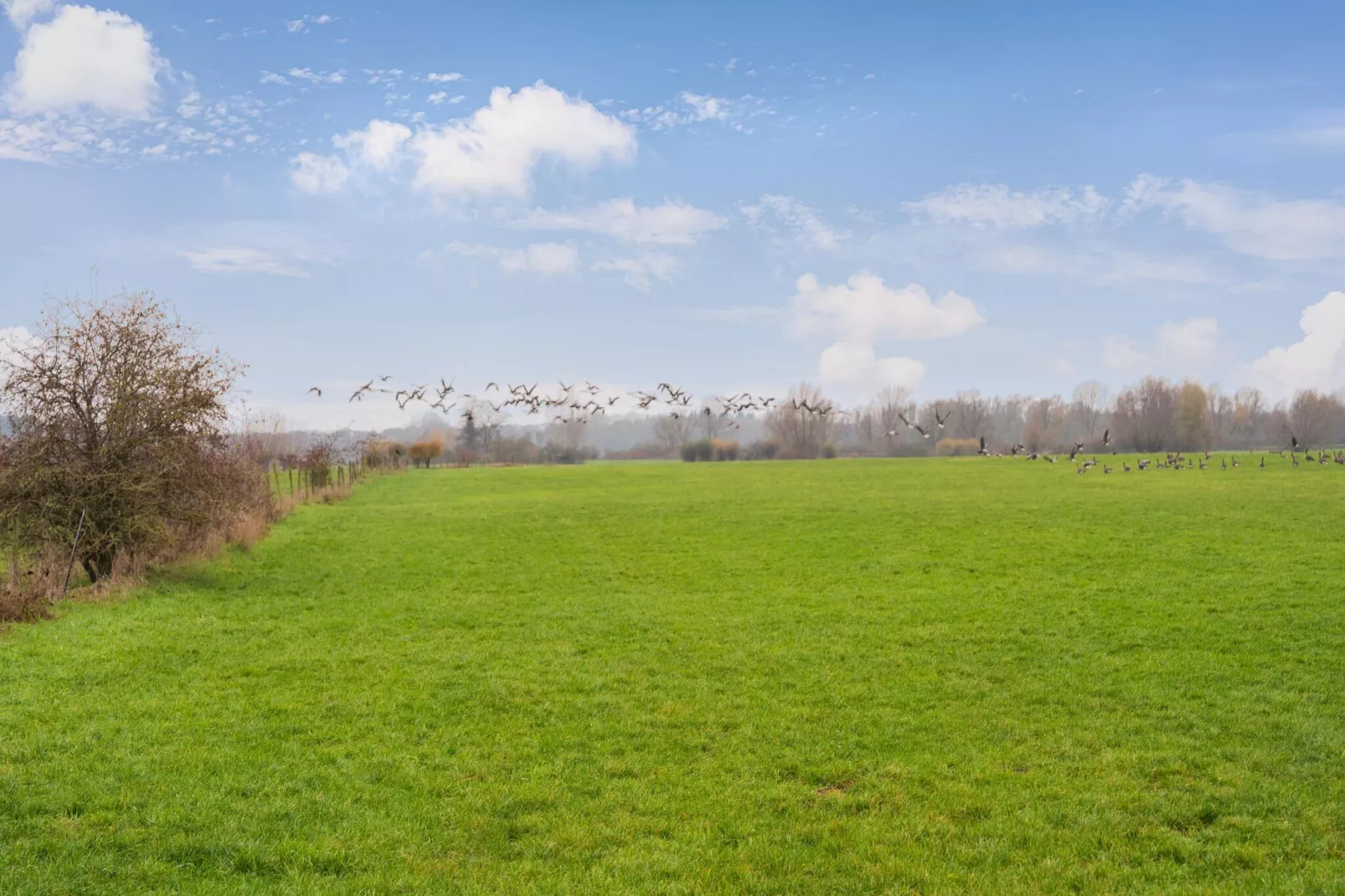 Vakantiewoning Hoevendeel-Gebieden zomer 5km