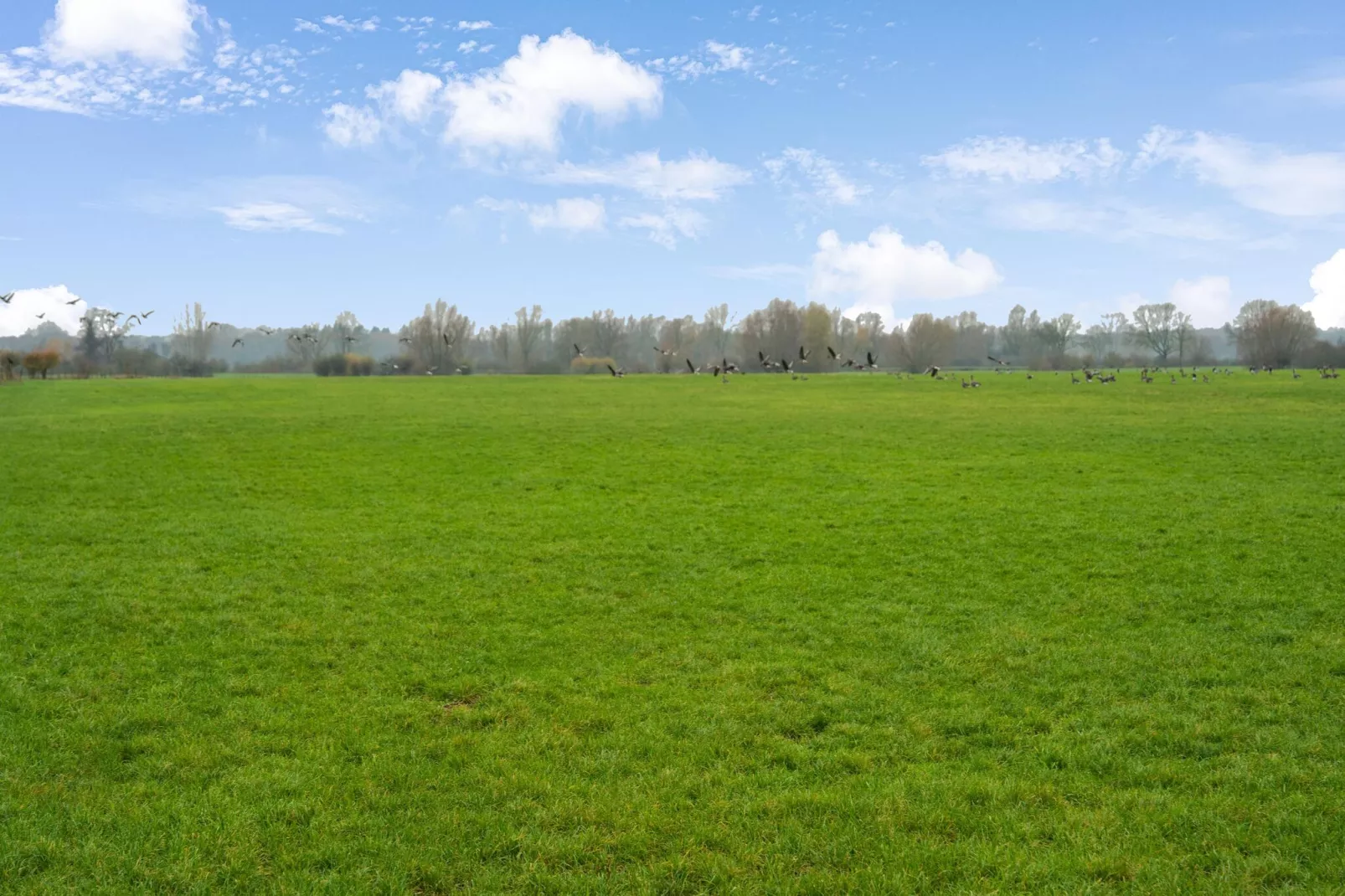 Vakantiewoning Hoevendeel-Gebieden zomer 5km