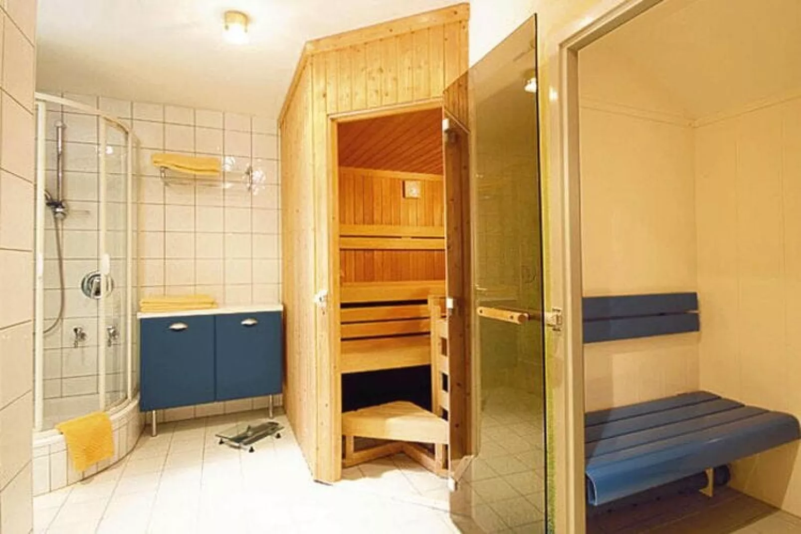 Ferienapartments Birkenhof - 4 Personen-Badkamer