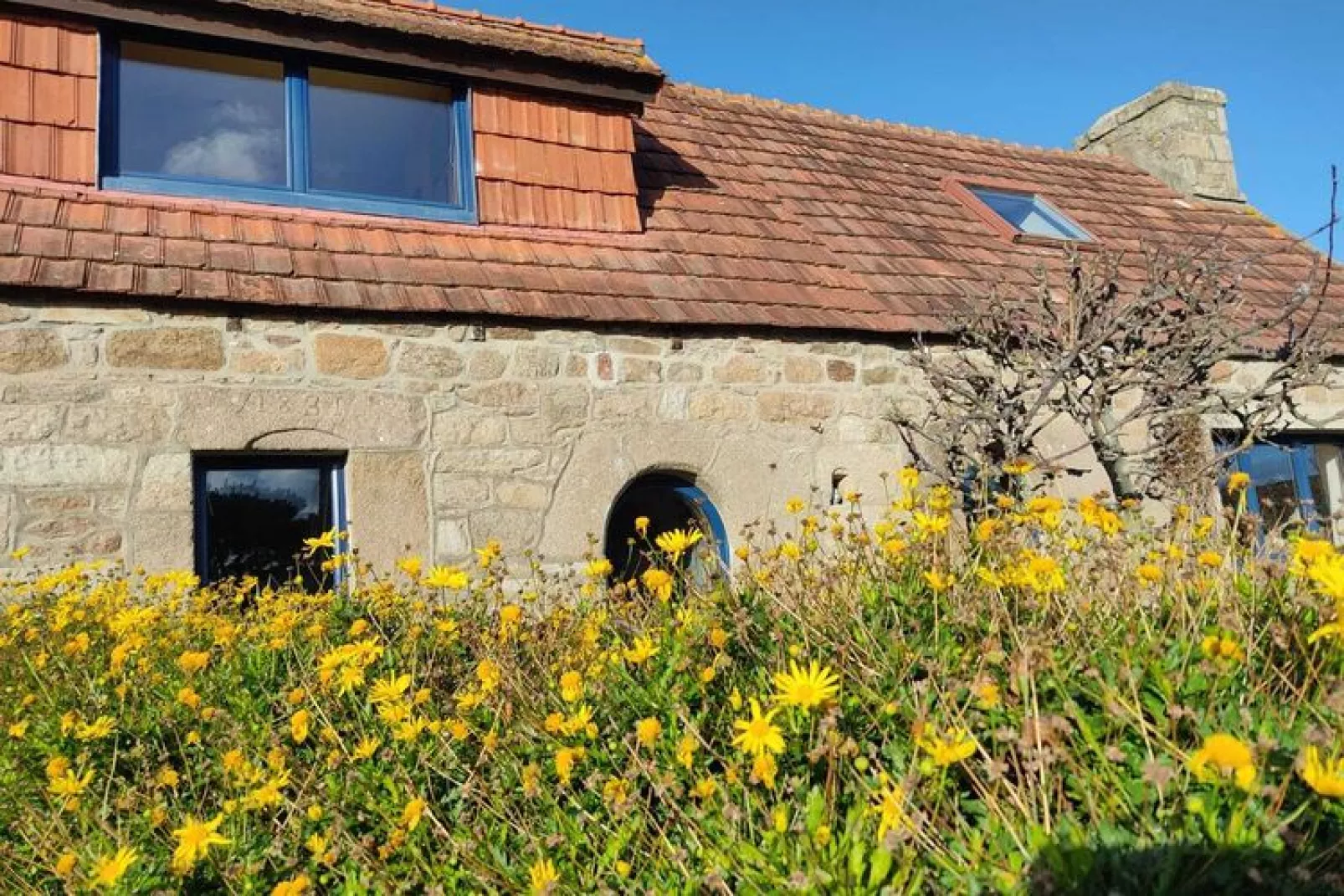 Holiday home Pleumeur-Bodou-Tuinen zomer