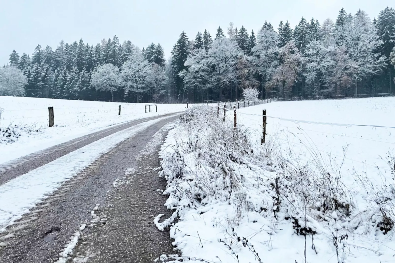 Chata no 6-Exterieur winter