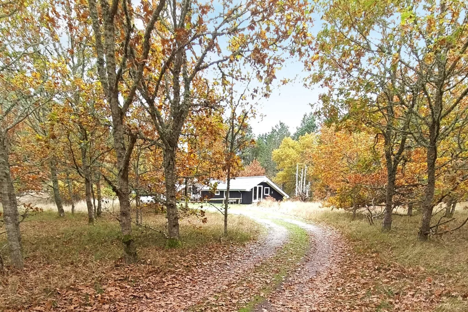 5 sterren vakantie huis in Ålbæk-Uitzicht