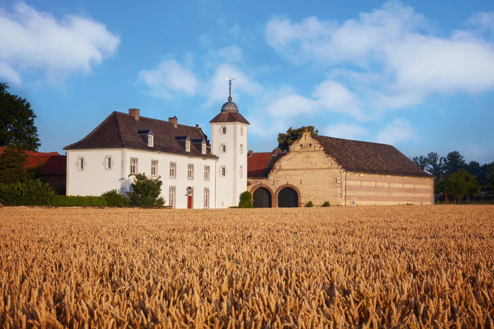 Herenhoeve de Bockhof-Buitenkant zomer