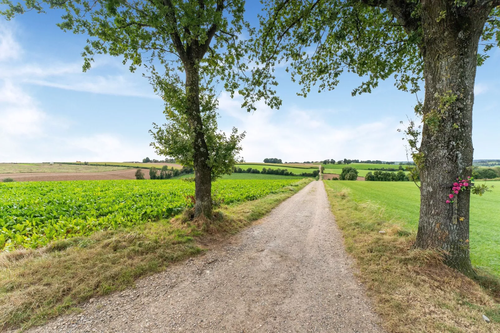 Valleyview Cottages - NR01-Gebieden zomer 5km