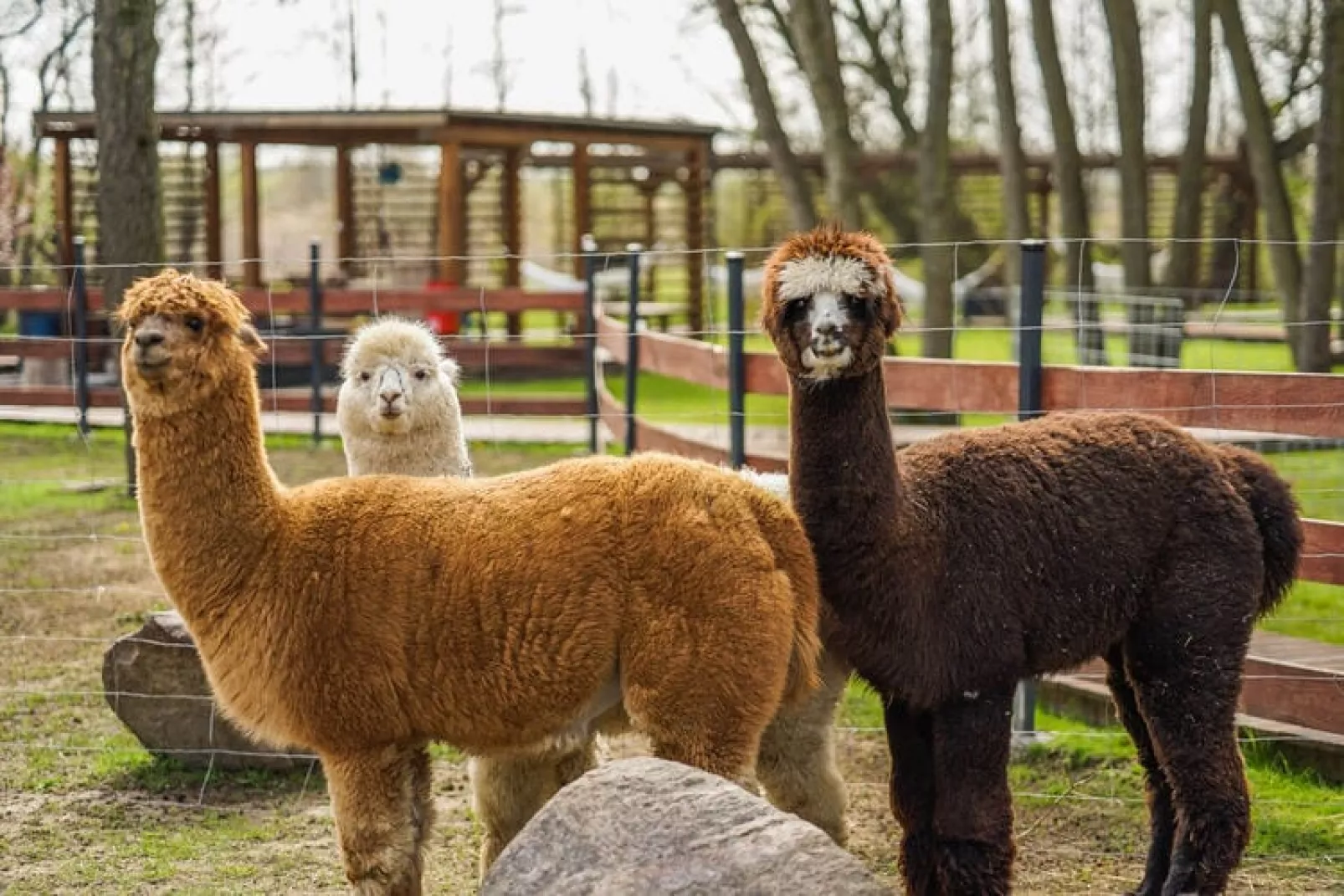 Domek Komfortowy 70 m2 Niechorze-Parkfaciliteiten