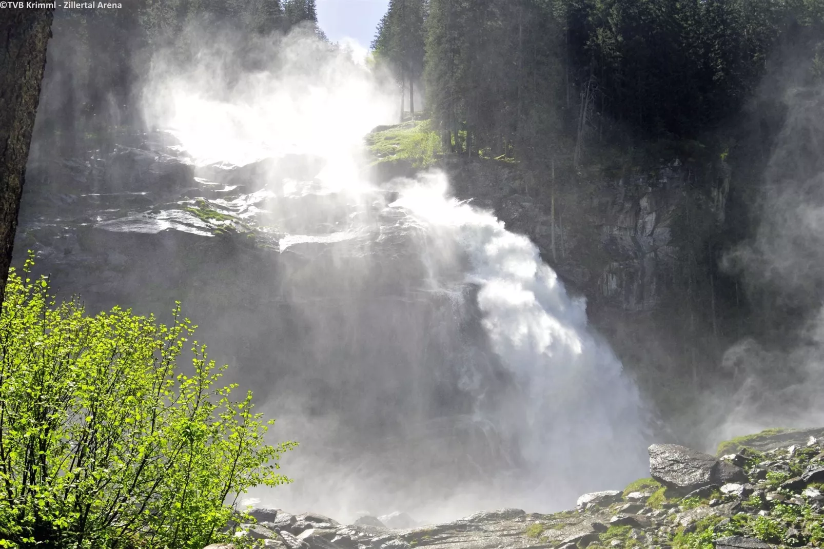 Tauernlodge Krimml 3B - Krimmler Ache-Gebieden zomer 1km