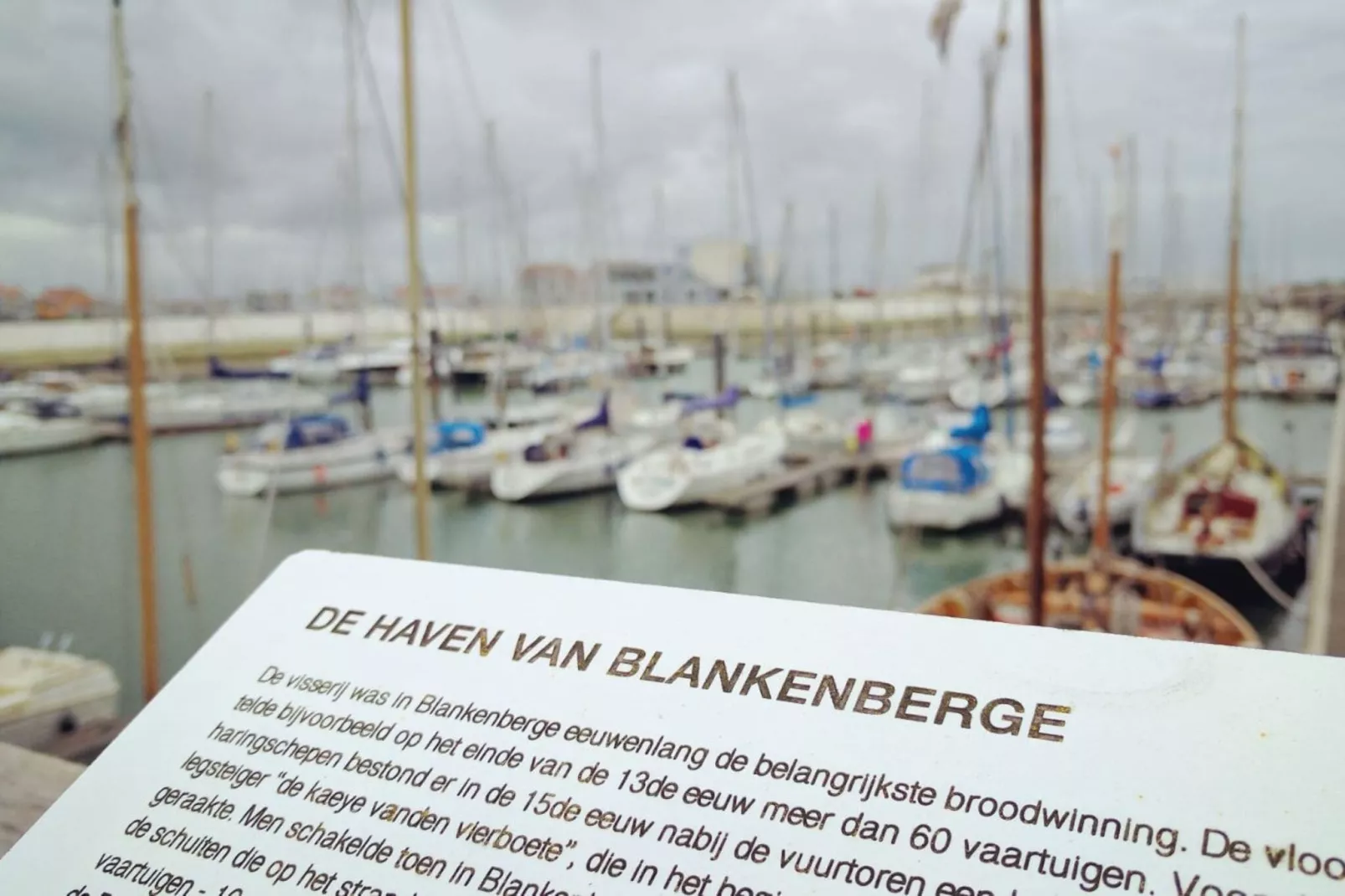 Noordzee23 / 1360454-Buitenkant zomer