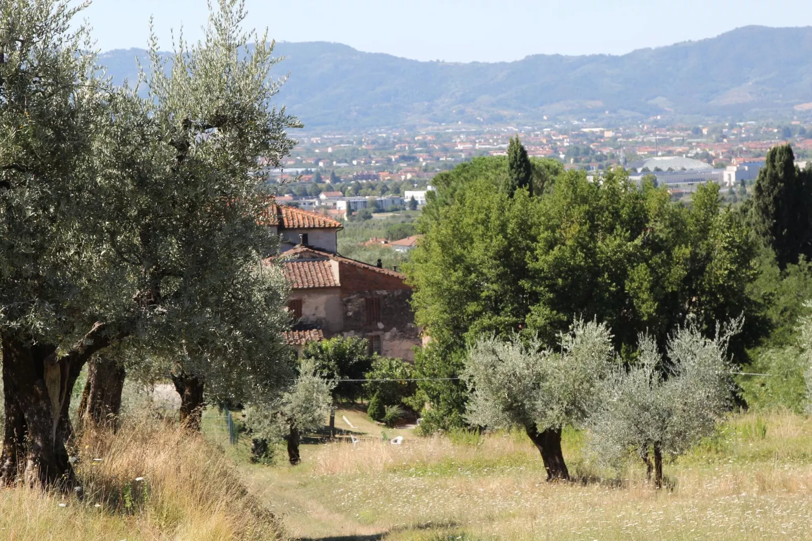 Villa il Brio x 6-Buitenkant zomer