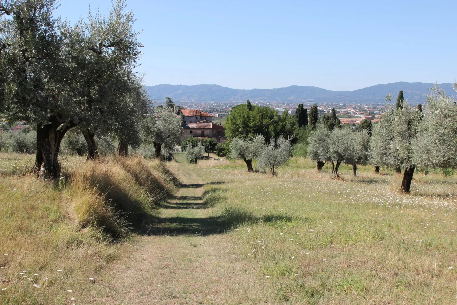 Villa il Brio x 6-Buitenkant zomer