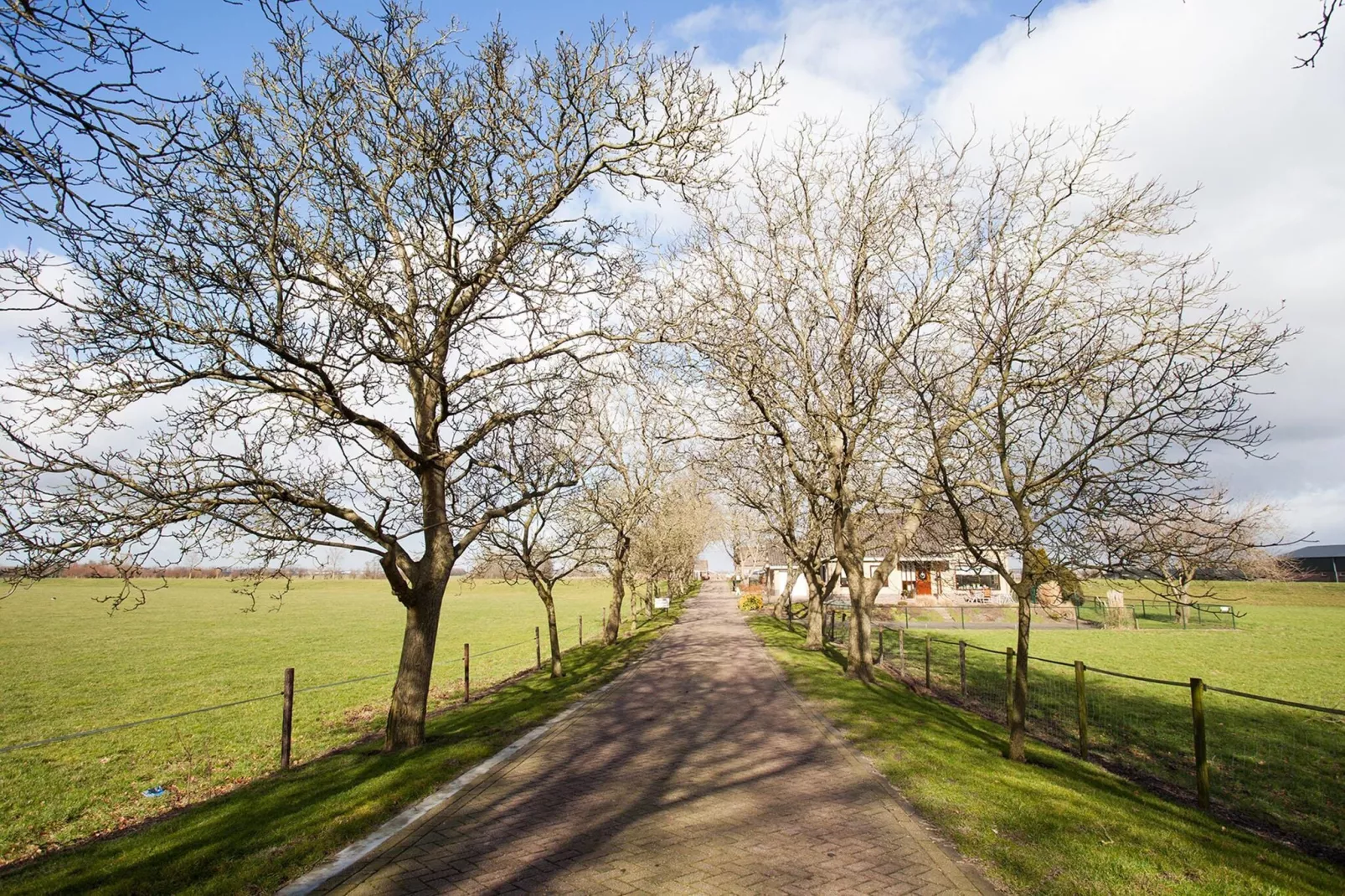 The Old Farmhouse