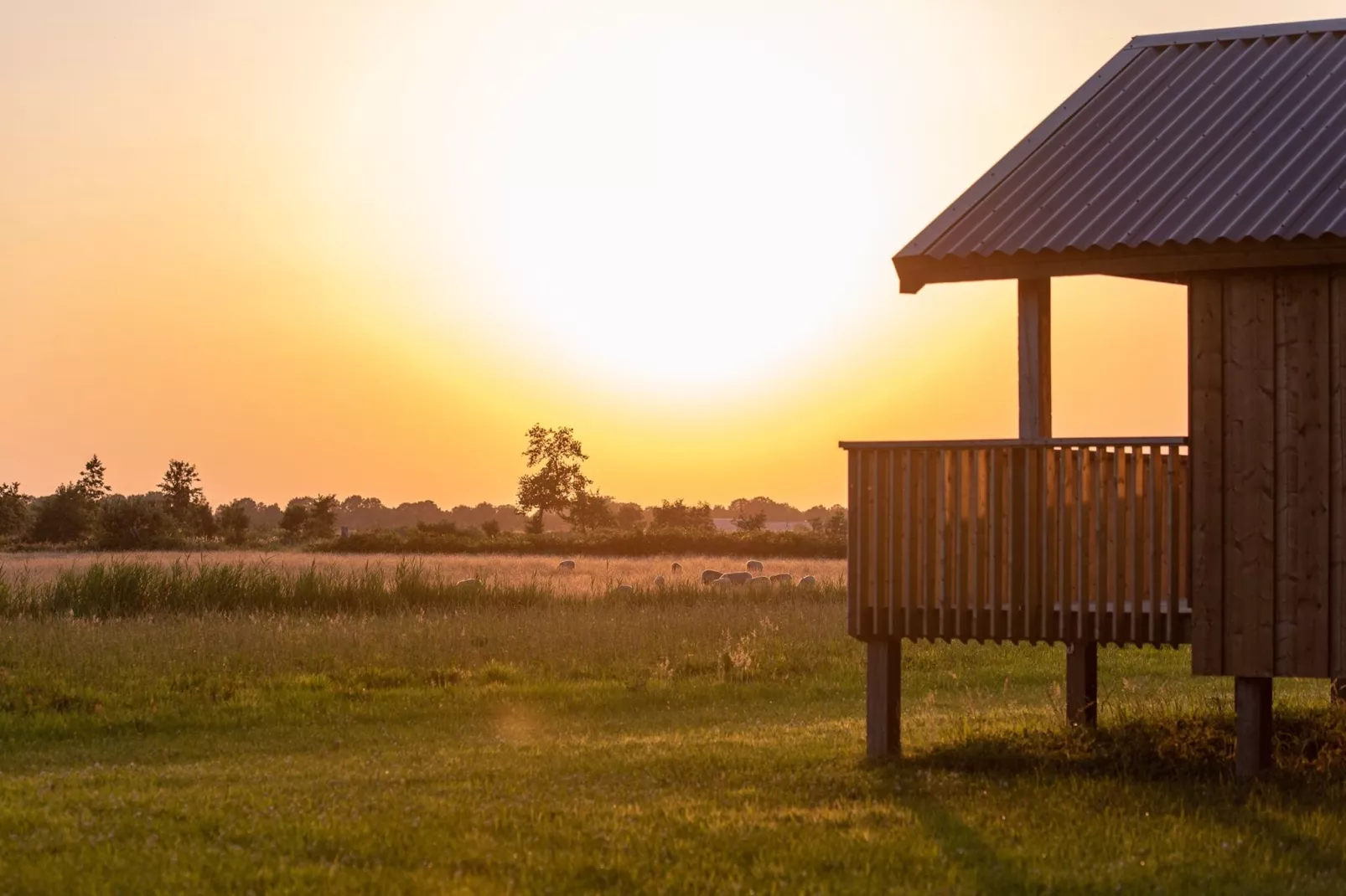 Acker Lodges 2-Buitenkant zomer