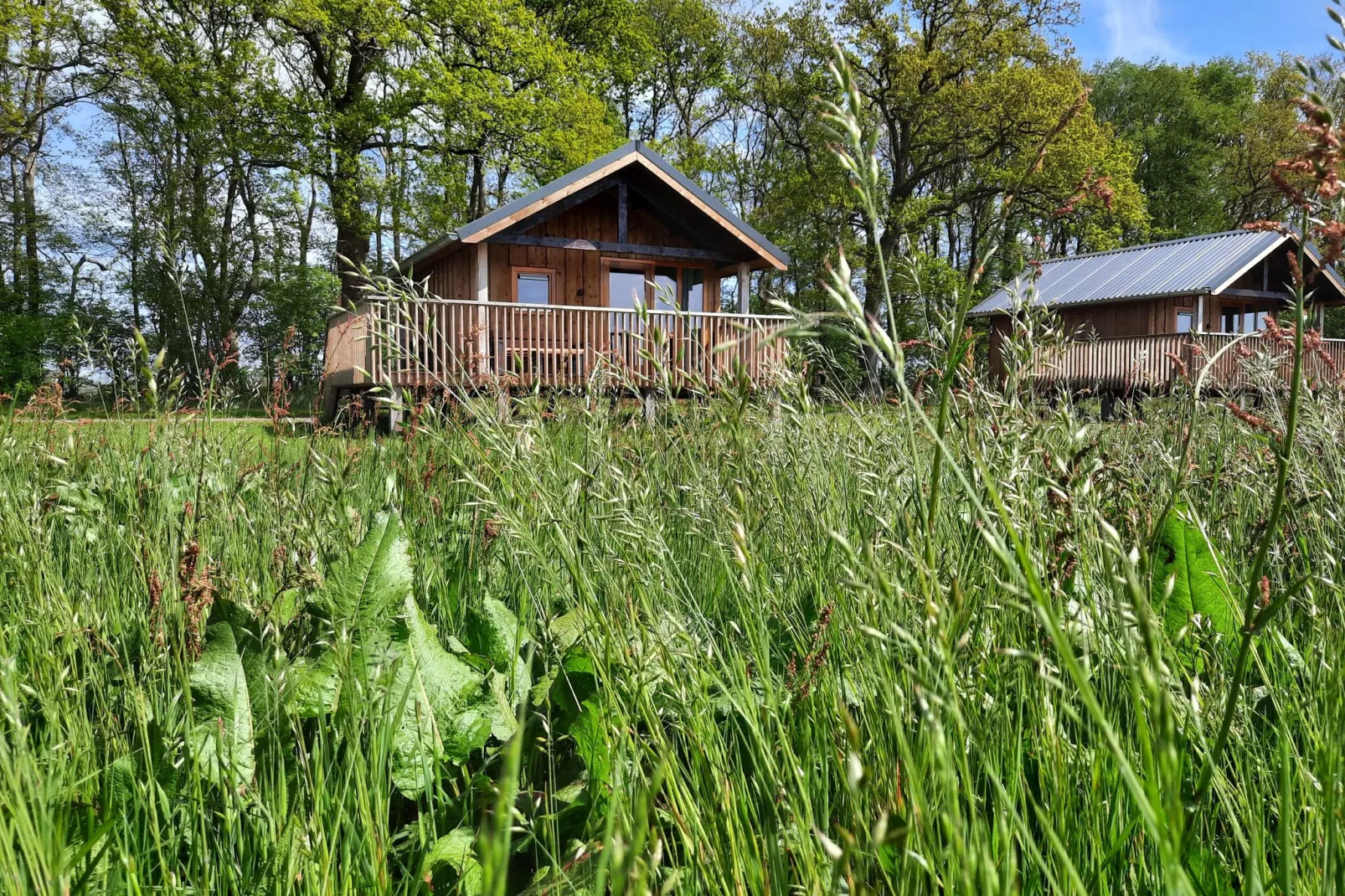 Acker Lodges 3-Buitenkant zomer