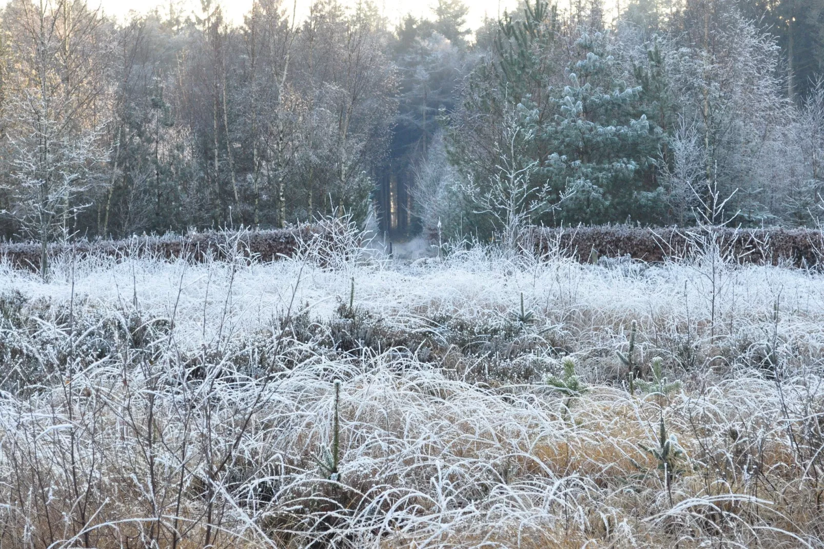 Loods 57B - Gebied winter 20km