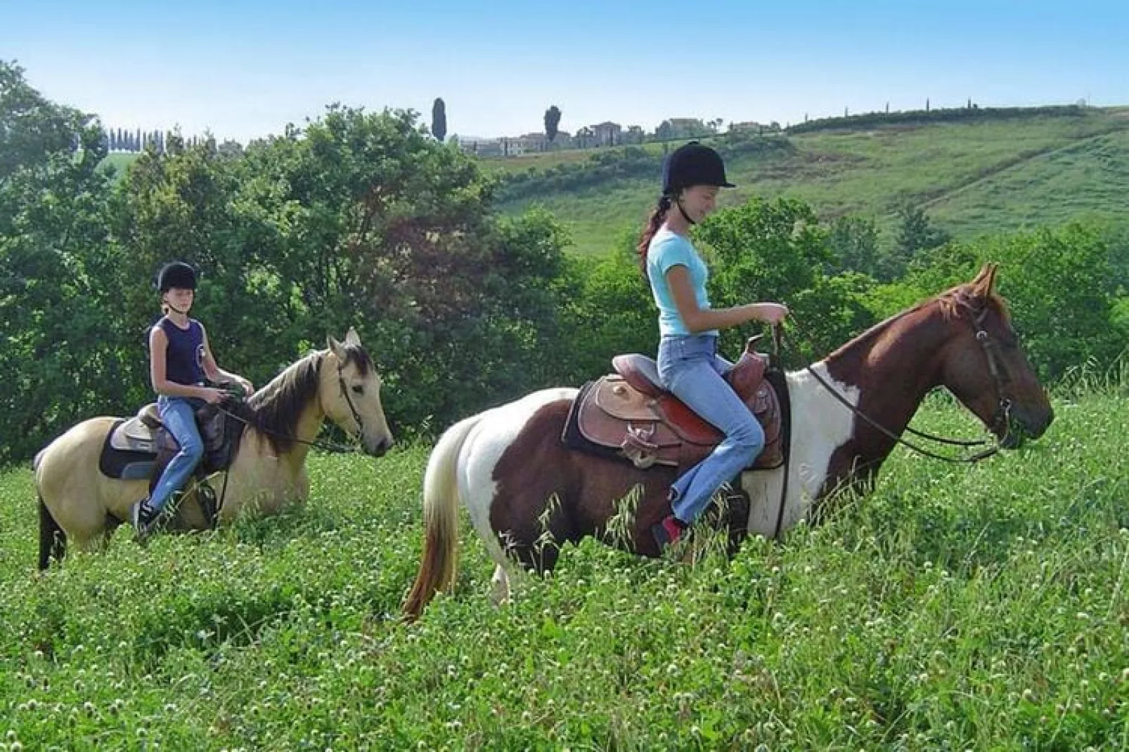 Agritourism Castellare di Tonda Resort & Spa Montaione-Typ F Superior 60 qm-Tuinen zomer