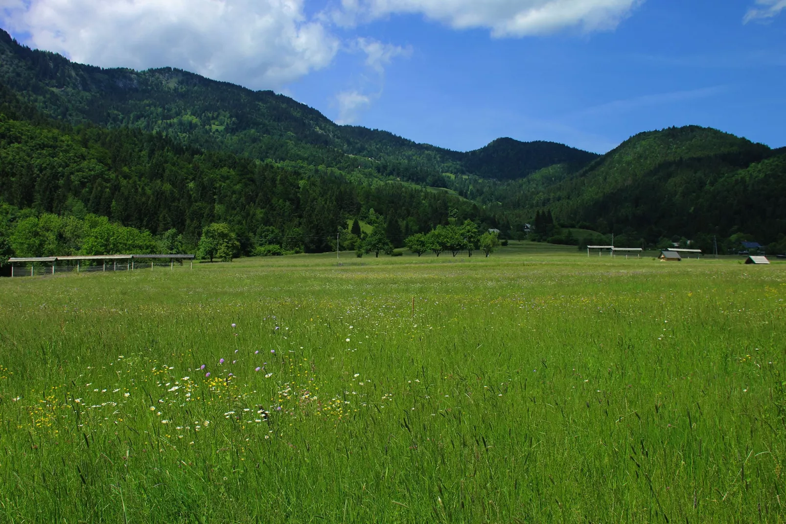 Apartments Bor 4-Gebieden zomer 20km