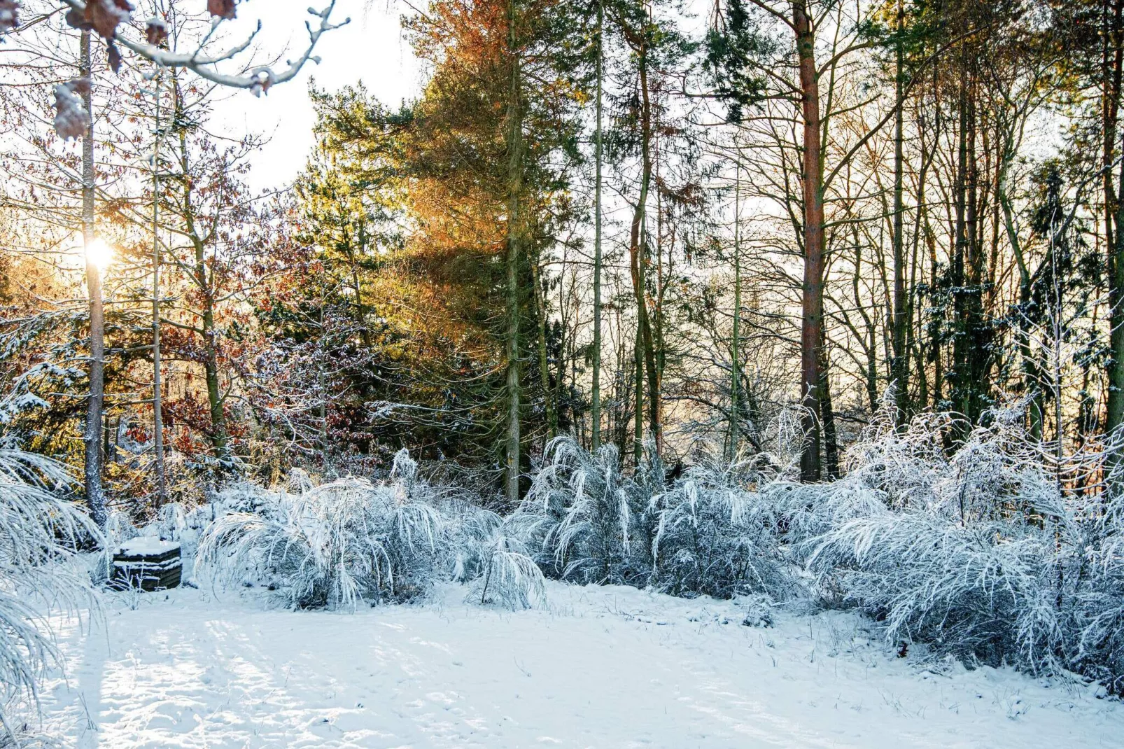 4 persoons vakantie huis in Glesborg-Uitzicht