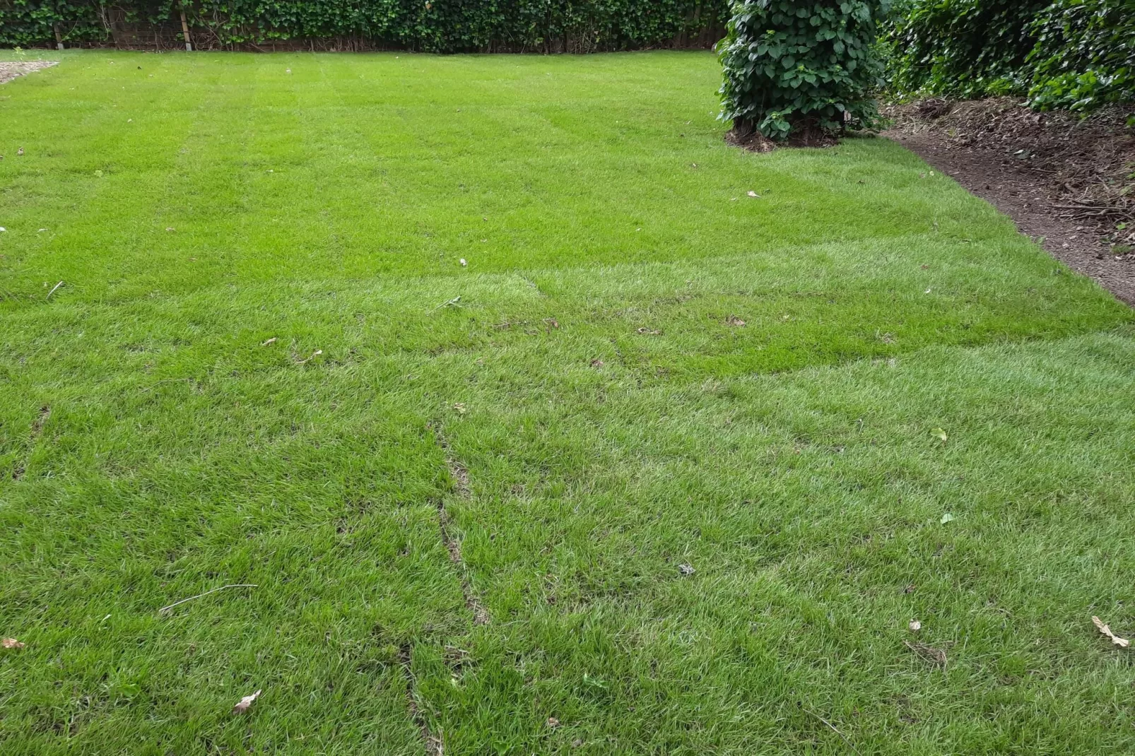 Het Zalige Hoekje-Buitenkant zomer