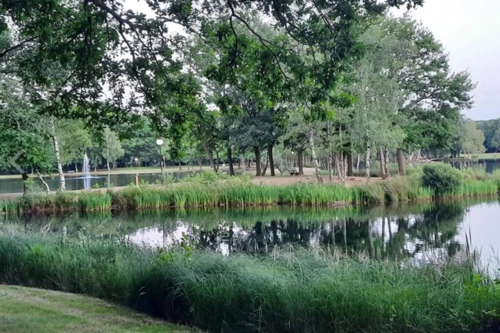 Het Zalige Hoekje-Gebieden zomer 1km