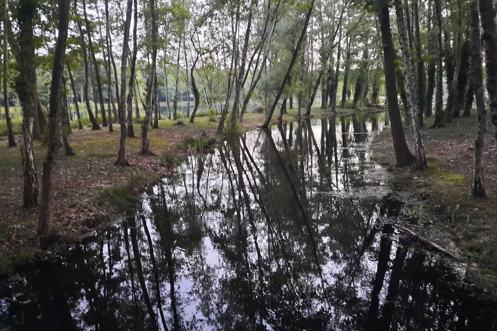 Het Zalige Hoekje-Gebied winter 1km