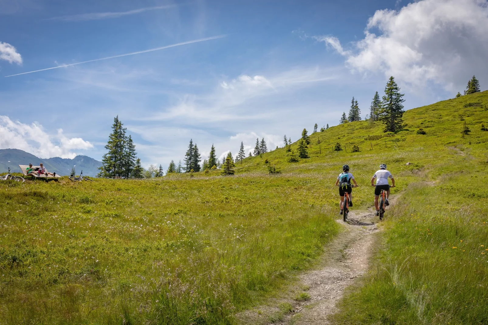 Ferienhaus Alpen Apart-Gebieden zomer 1km