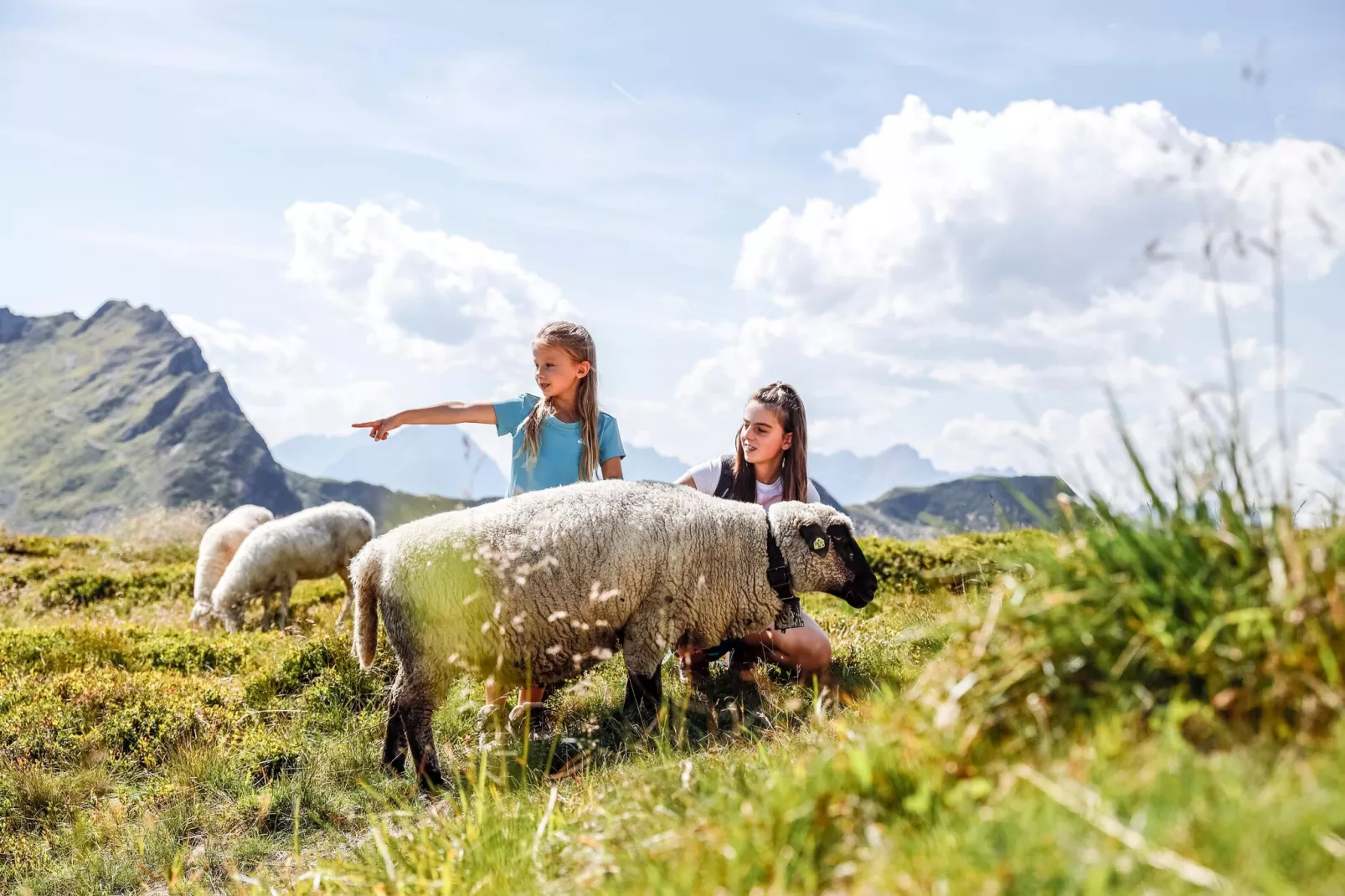 Ferienhaus Alpen Apart - 11 Personen-Gebieden zomer 5km