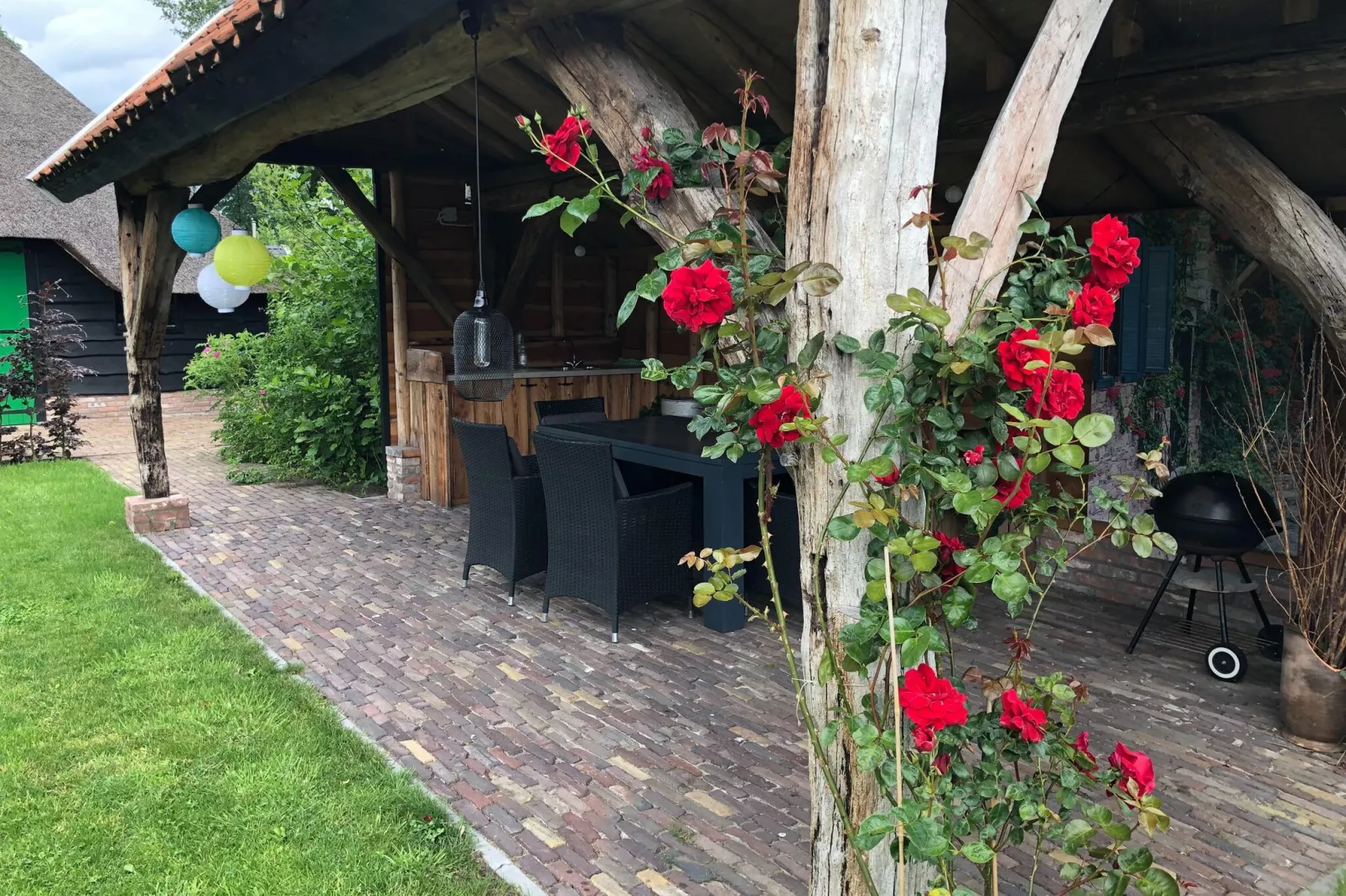 Woonboerderij in Staphorst voor 6 personen-Terrasbalkon