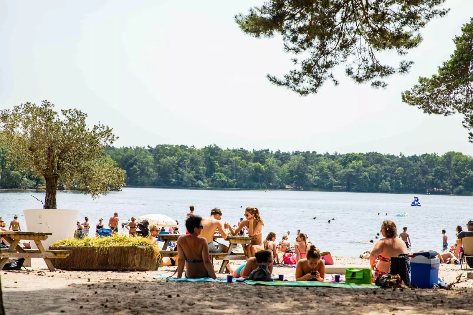 Résidence de Leuvert 5-Gebieden zomer 5km