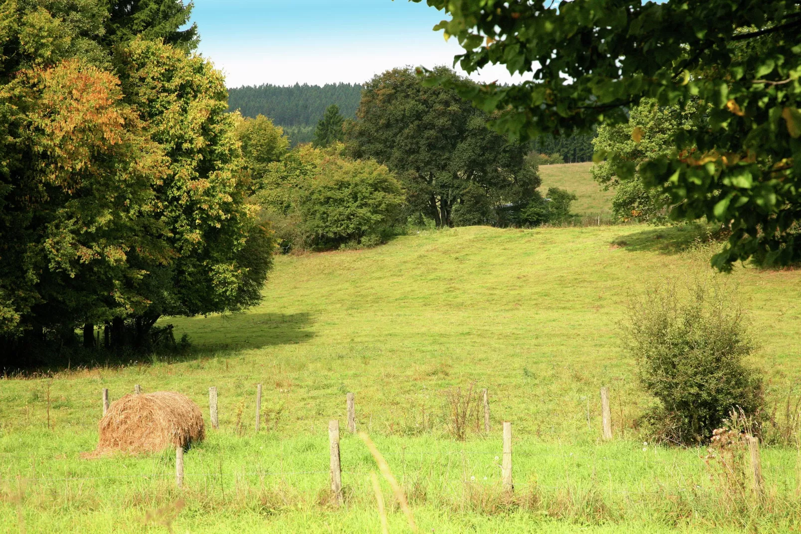 Droles d'écureuil-Gebieden zomer 5km