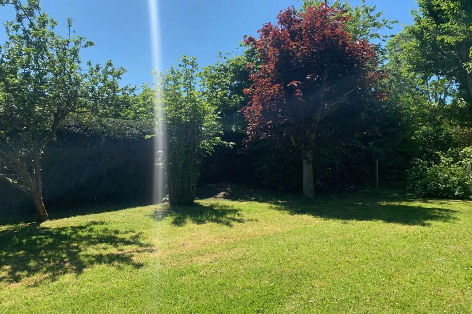 MAISON VIROLE-Tuinen zomer