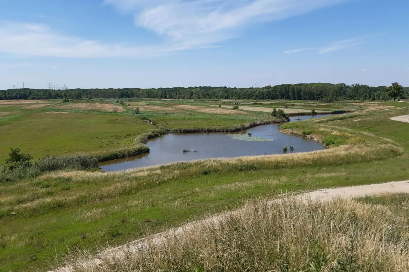 Otter-Gebieden zomer 1km