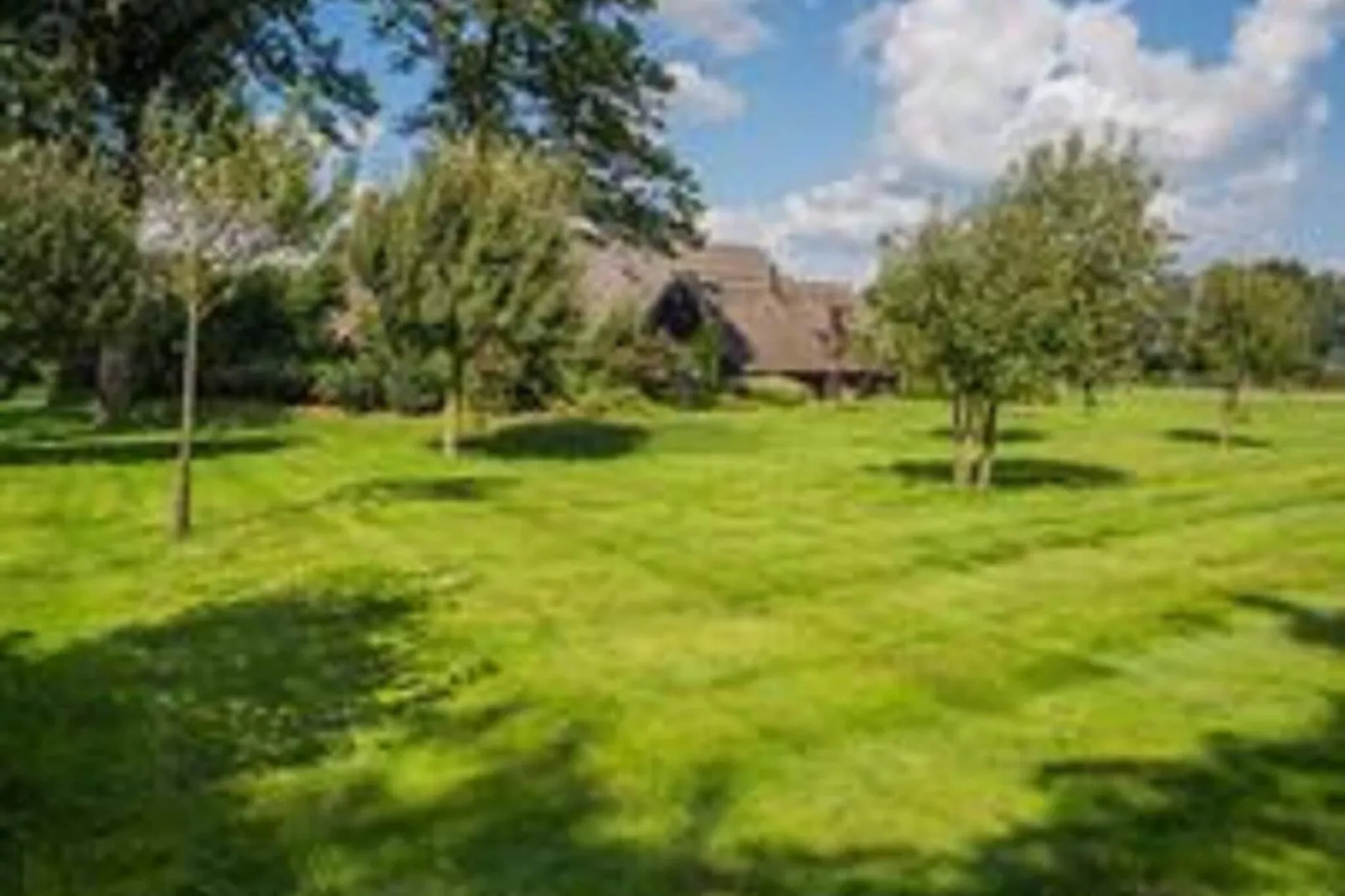 Boerderij Dwingelderveld-Tuinen zomer