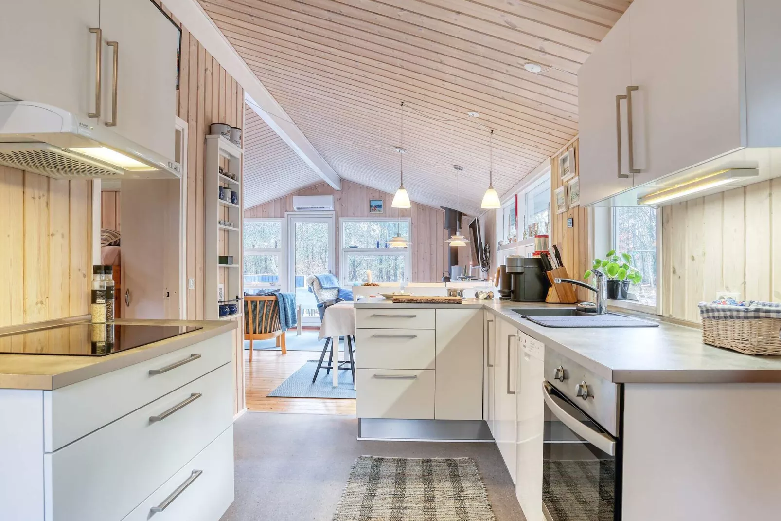 6 persoons vakantie huis in Jerup-Binnen