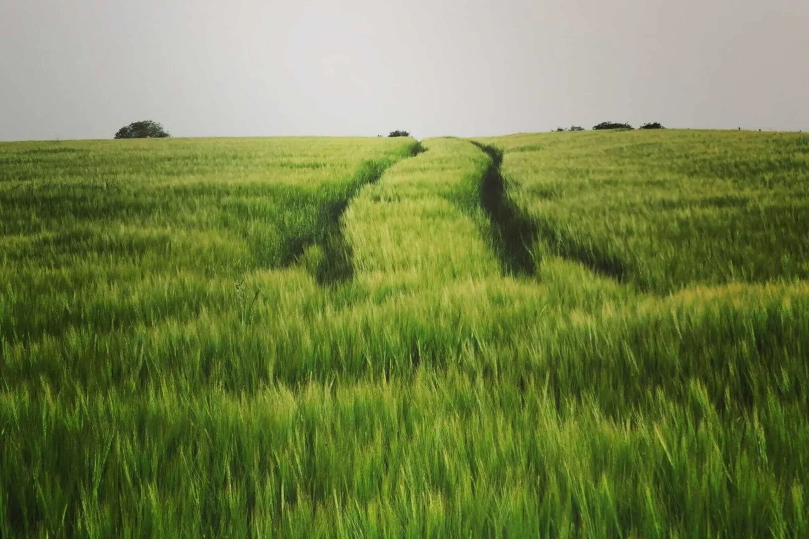 Au Vert Pâturage-Uitzicht zomer