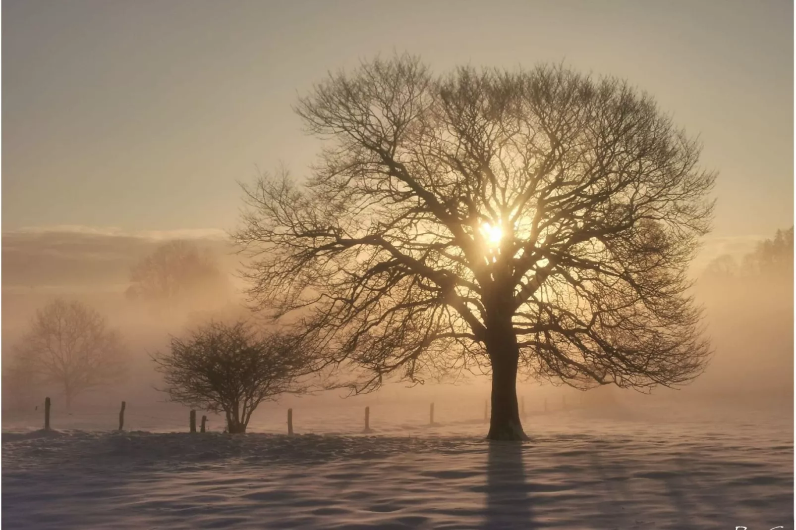 Au Vert Pâturage-Uitzicht winter