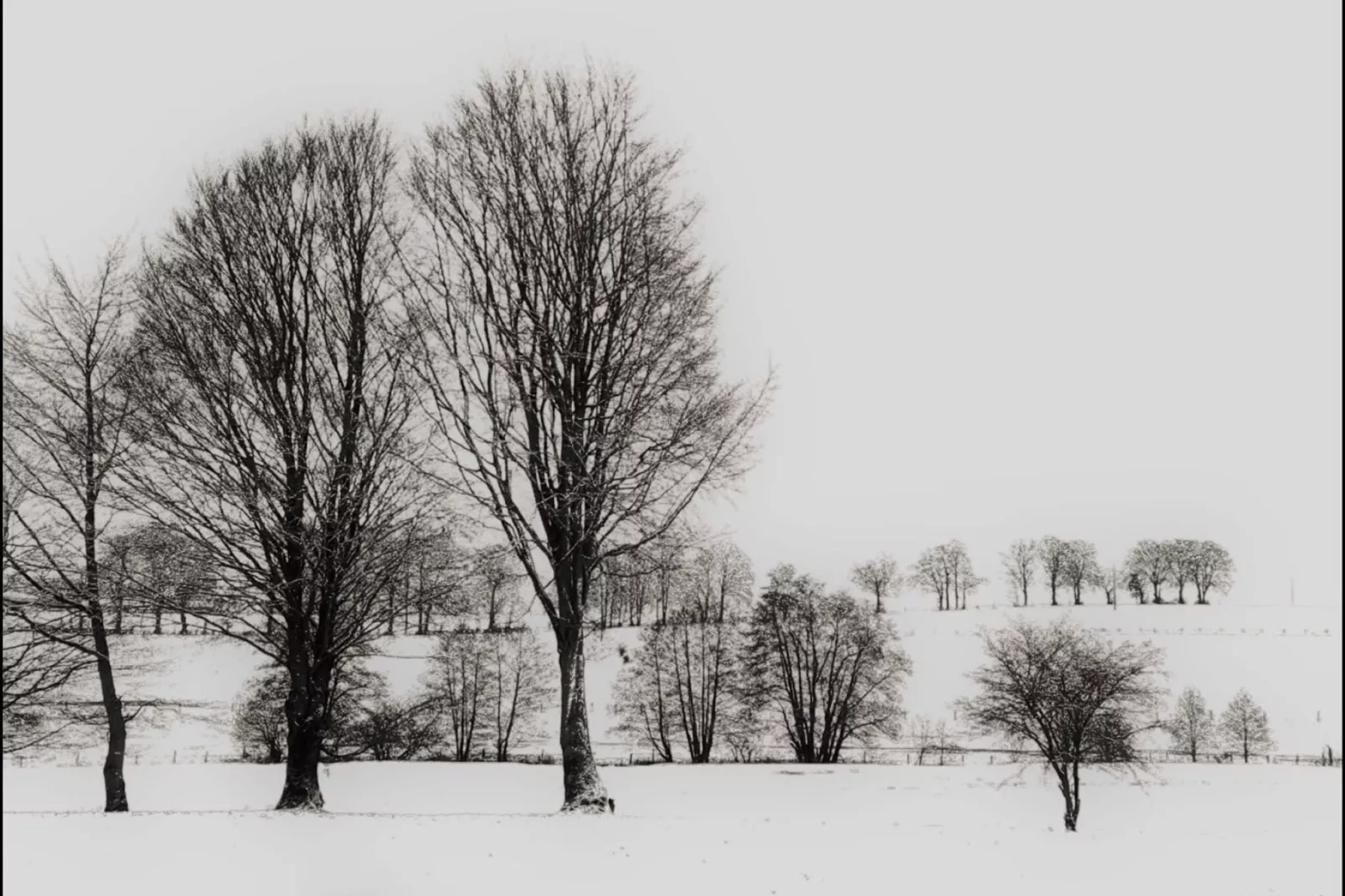 Au Vert Pâturage-Uitzicht winter