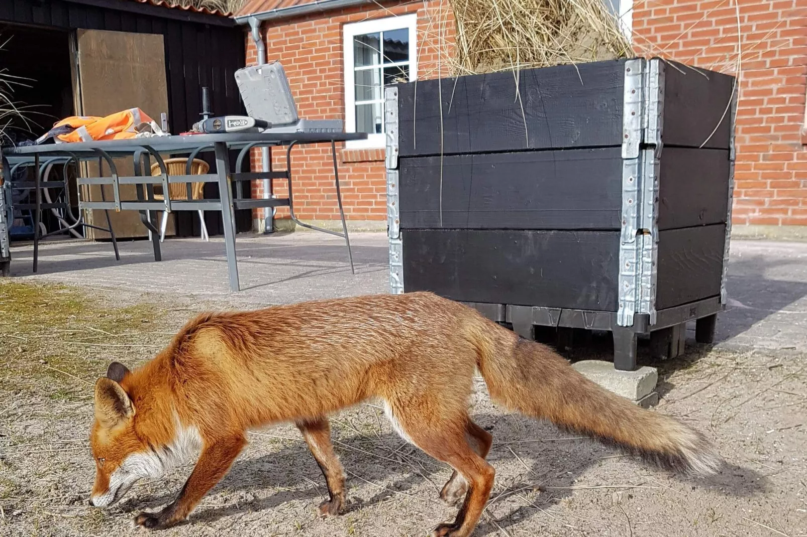 14 persoons vakantie huis in Fanø-Niet-getagd