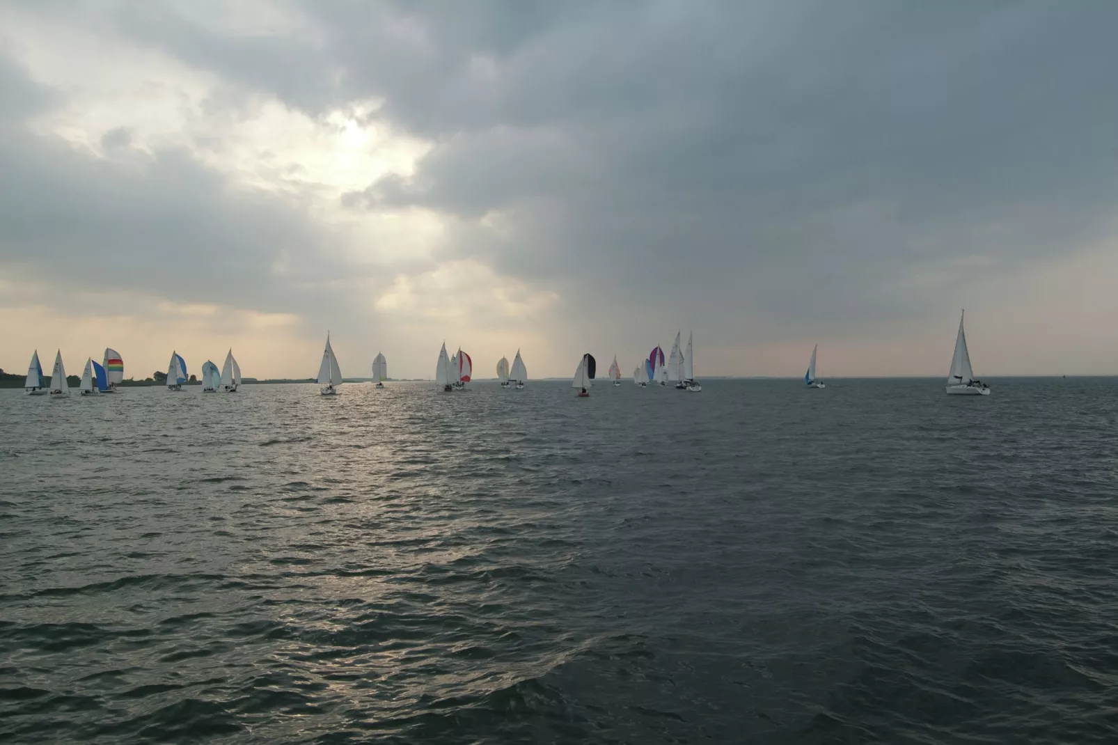 Villapark De Oesterbaai 15-Gebieden zomer 1km