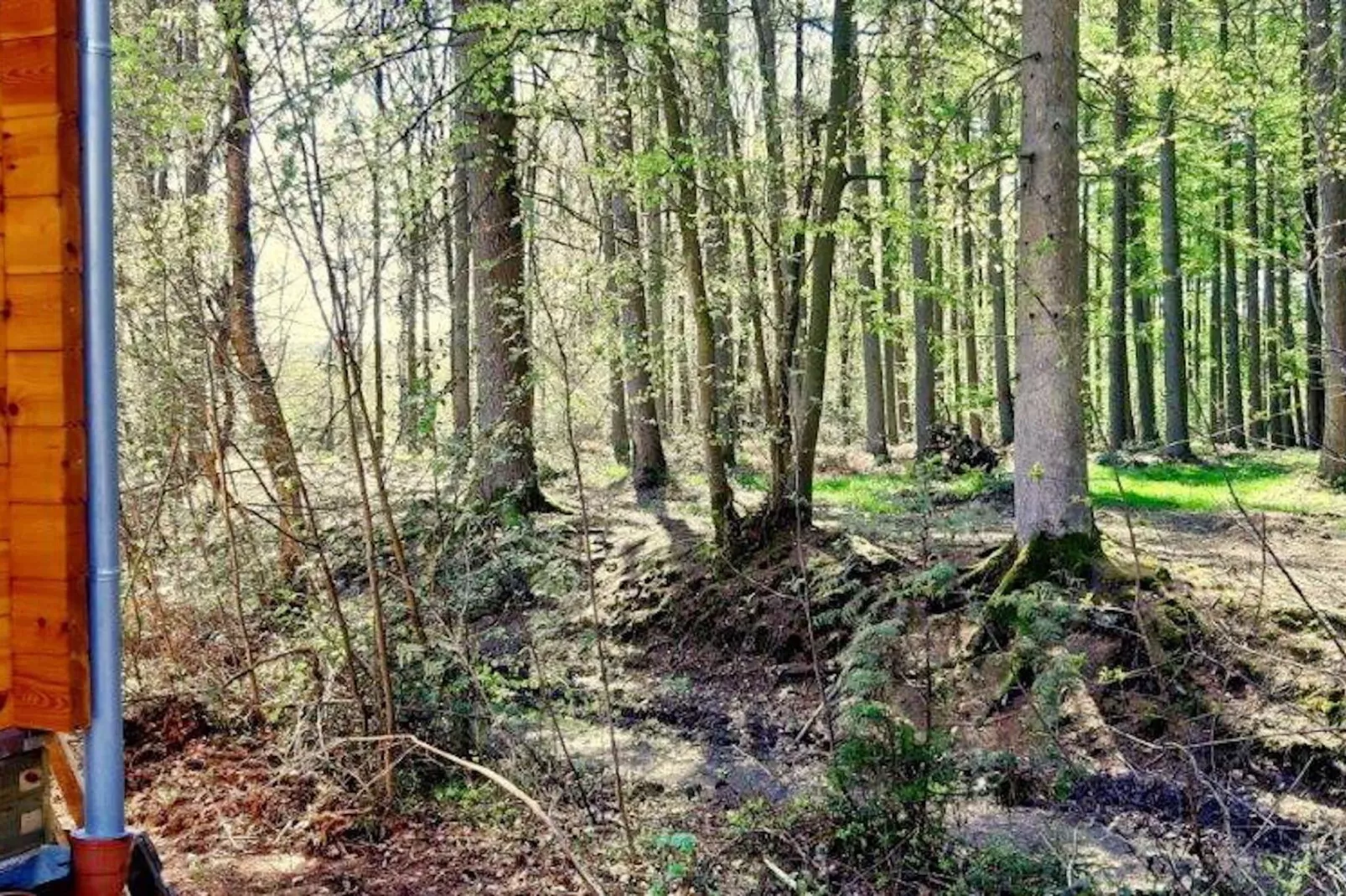 Village de Vacances Oignies 6-Gebieden zomer 1km