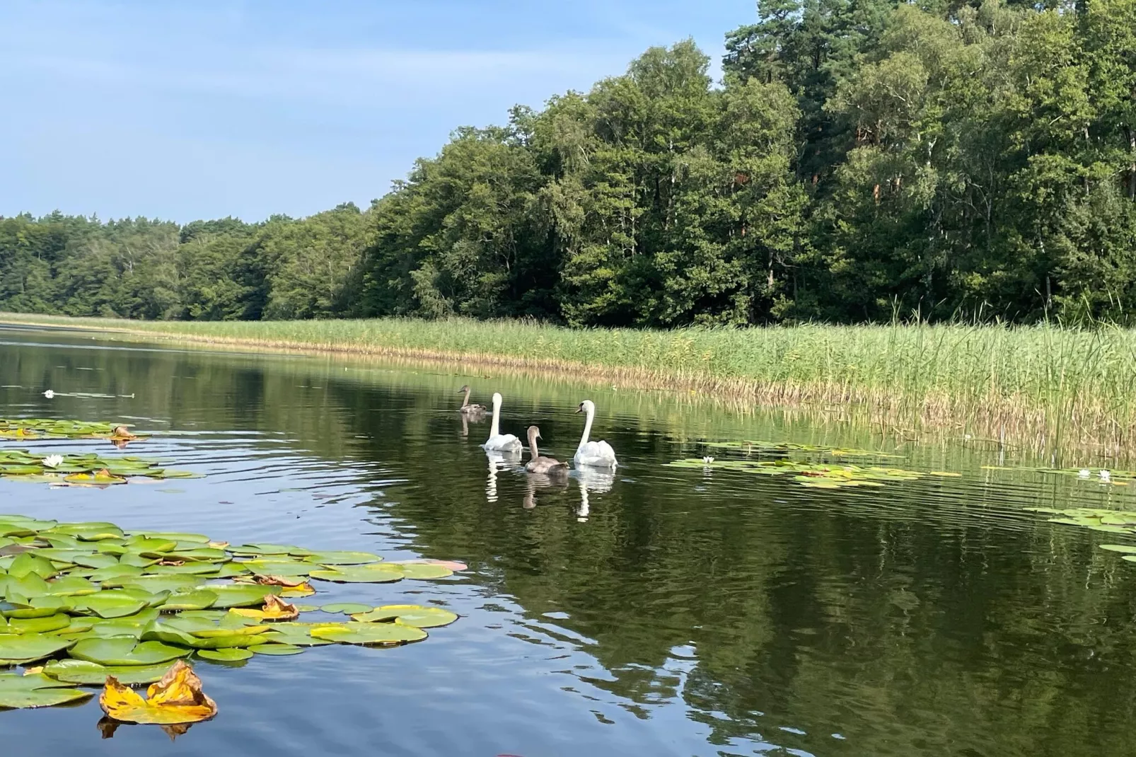 Ferienhaus 75 qm-Gebieden zomer 1km