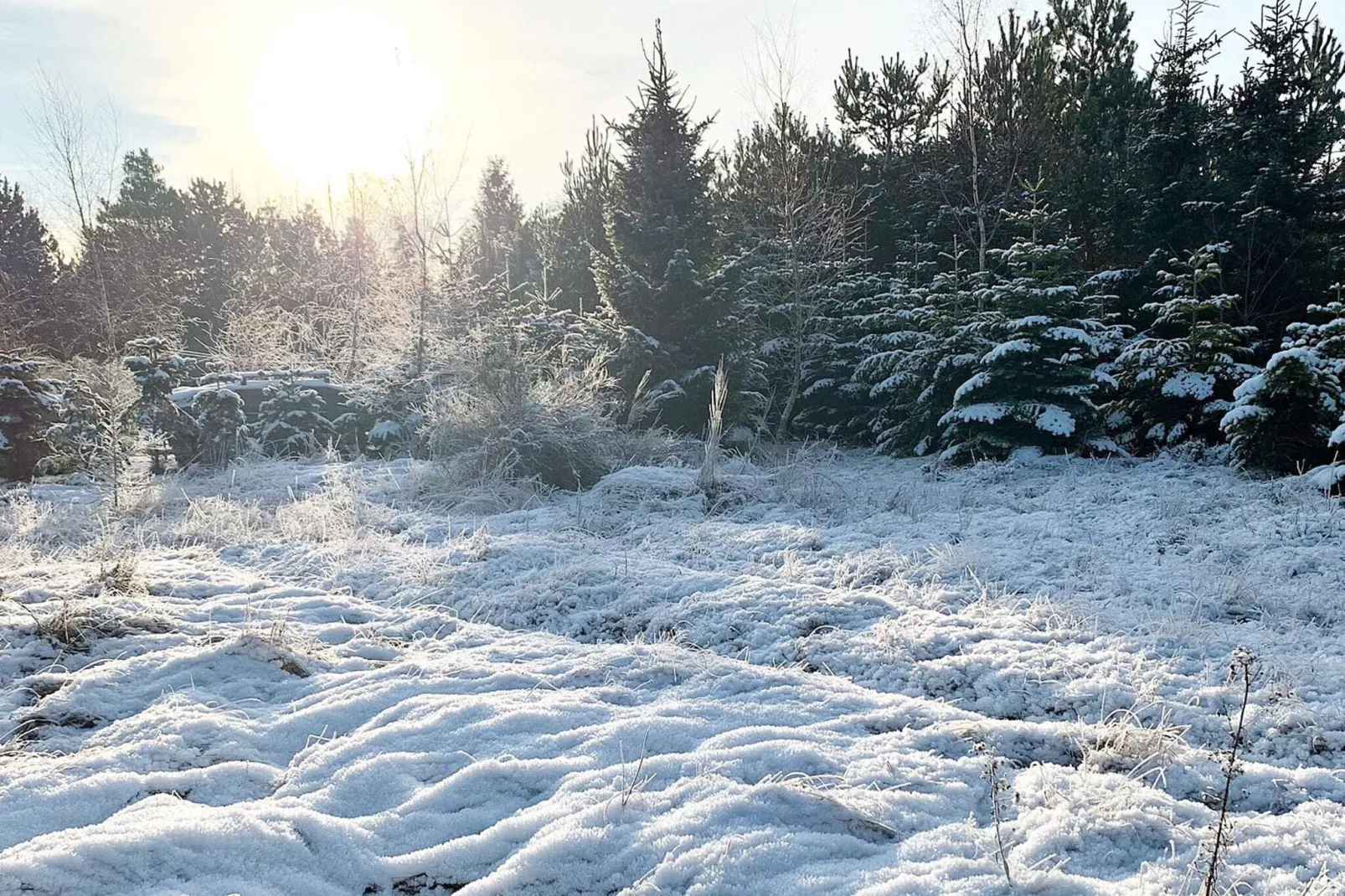 4 sterren vakantie huis in Væggerløse-Buitenlucht