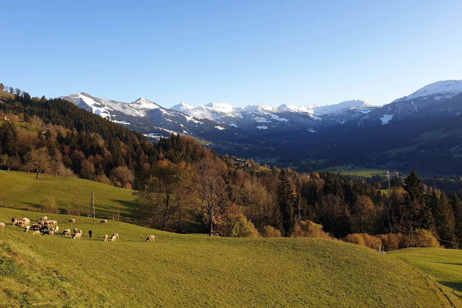 Chalet Hohe Salve-Gebieden zomer 1km