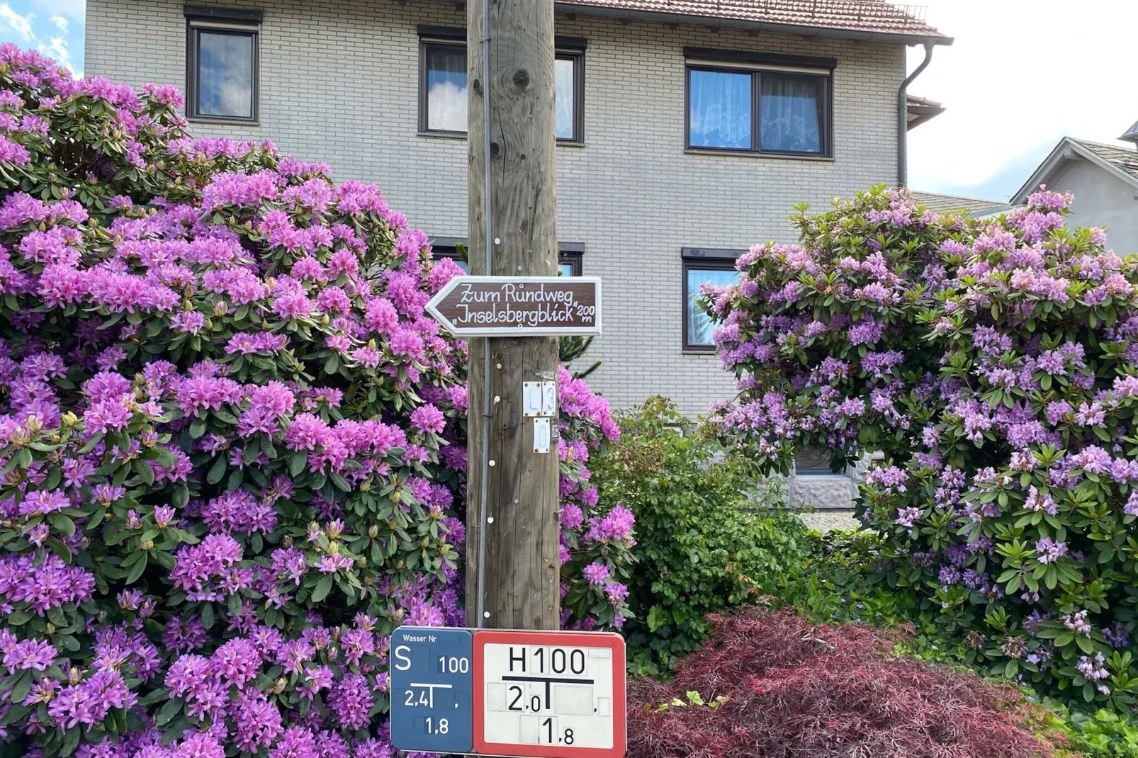 Ferienwohnung Apelt-Buitenkant zomer