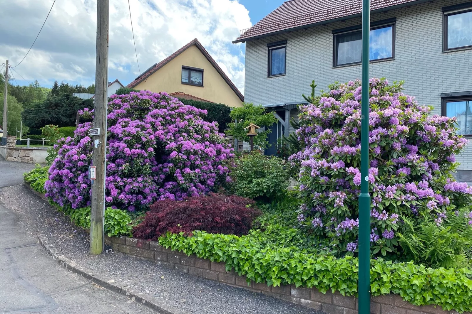 Ferienwohnung Apelt-Buitenkant zomer